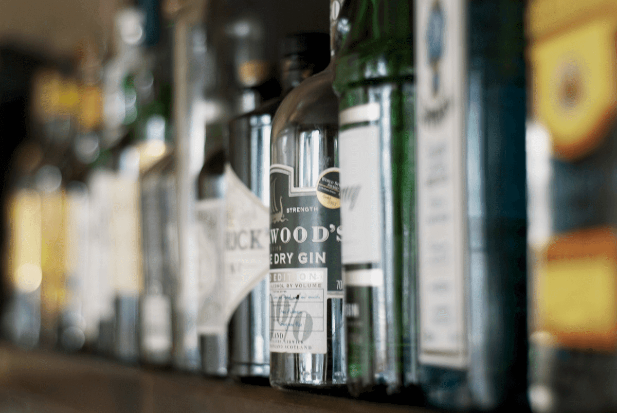Types of Gin: A Quick Guide to Gin Types and Brands