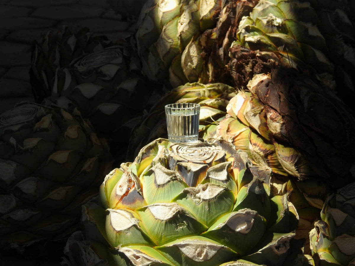 Cocktail Trend You Don't Want to Miss: Mezcal Cocktails