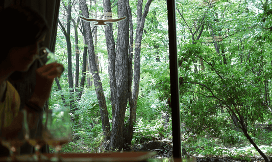 Hakushu: Japanese Whisky from the Forest